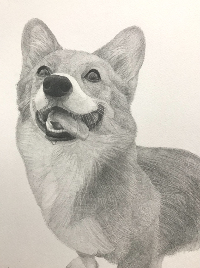 鉛筆デッサン - 奥野 晶 ーAki Okuno Official Websiteー