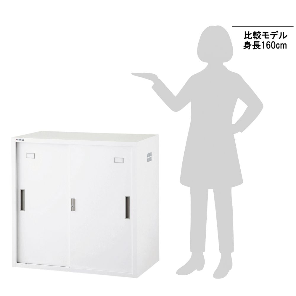 8-2060-02 耐薬引違保管庫 スチール戸 N-515D・OW 【AXEL】 アズワン