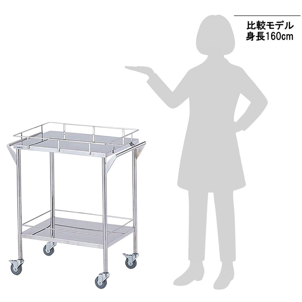8-7465-01 ストレージステンレスカート 2段 (幅600mm) CHS-2 【AXEL