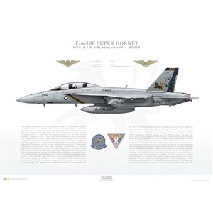 Aircraft profile print of F/A-18F Super Hornet VFA-213 Blacklions