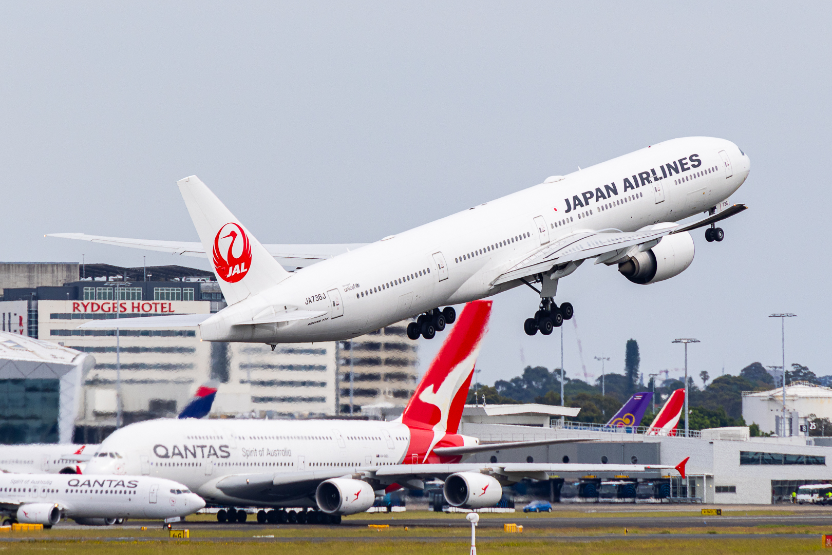 JAL羽田=シドニー線で、ボーイング777-300ERを2クラス乗り比べ