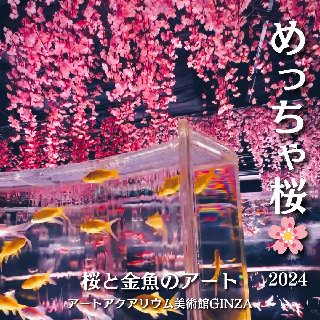 幻想的な金魚/めっちゃ桜🌸2024】 | Trip.com 東京