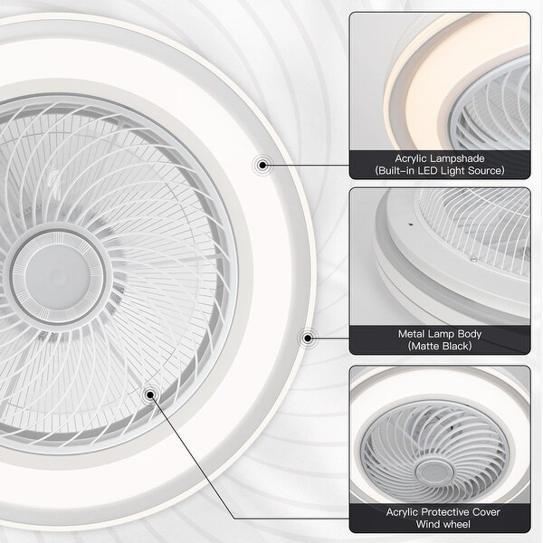 20 in. Indoor Black Caged Enclosed Ceiling Fan with LED Light