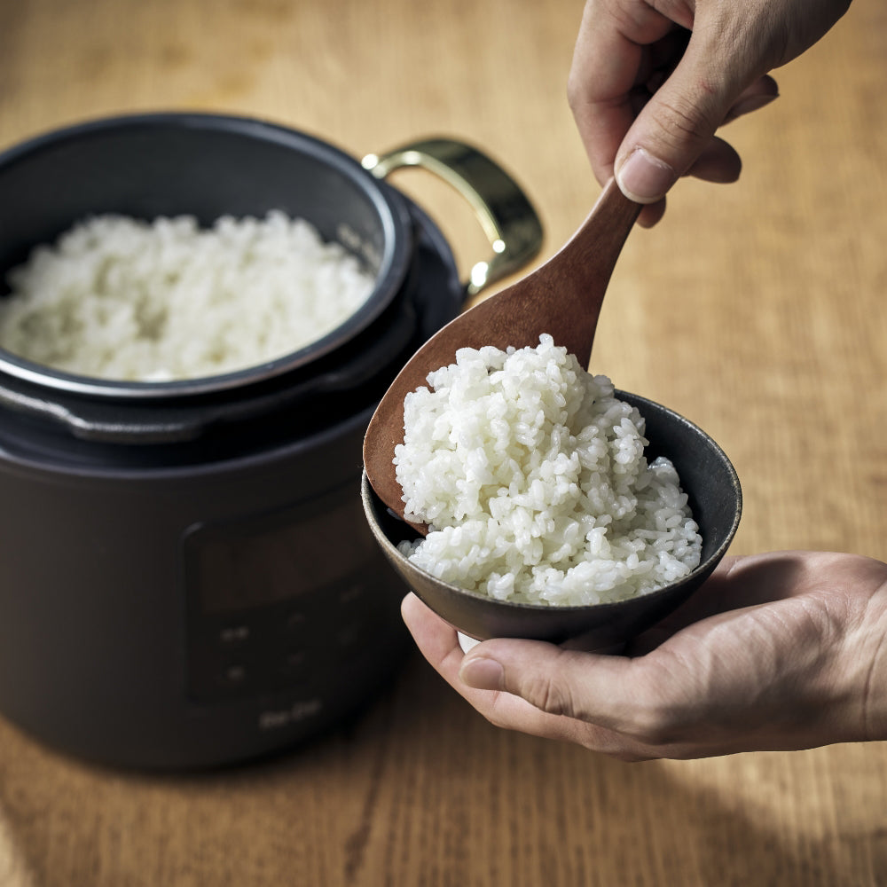 Re・De Pot 電気圧力鍋 2L ブラック – AOYAMA GIFT SALON