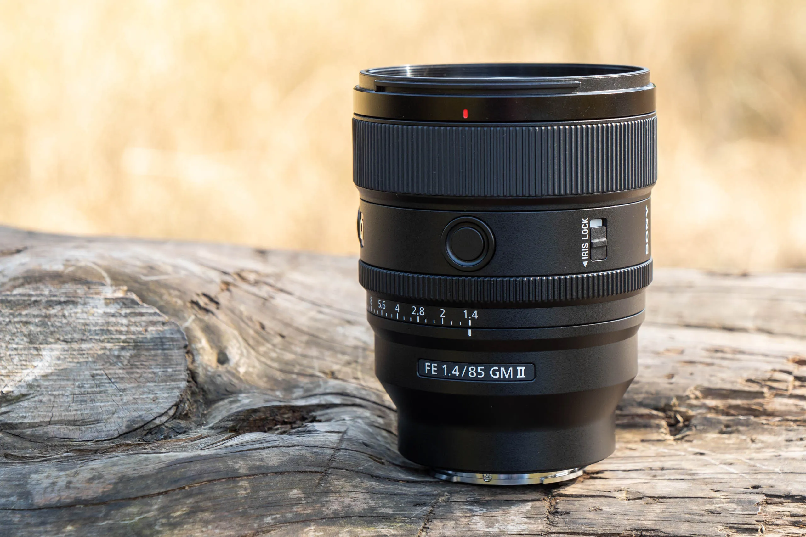 Sony FE 85mm F1.4 GM II review: perfect portrait prime? | Amateur