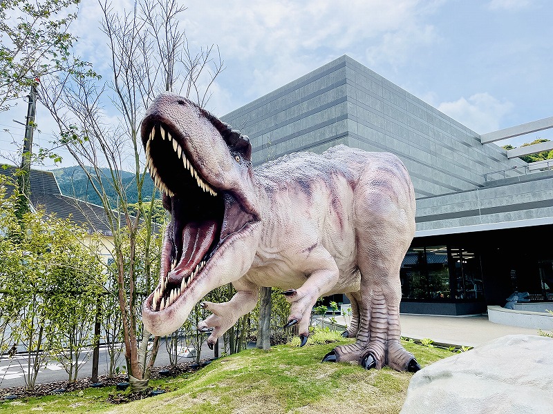 夏休みは1億年前の化石採集を！100％見つかる化石採集体験が開始3ヶ月