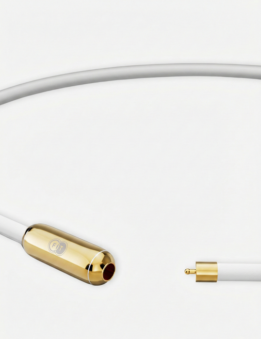 FT™︎ TUNING NECKLACE TITANIUM（チューニングネックレス・チタニウム