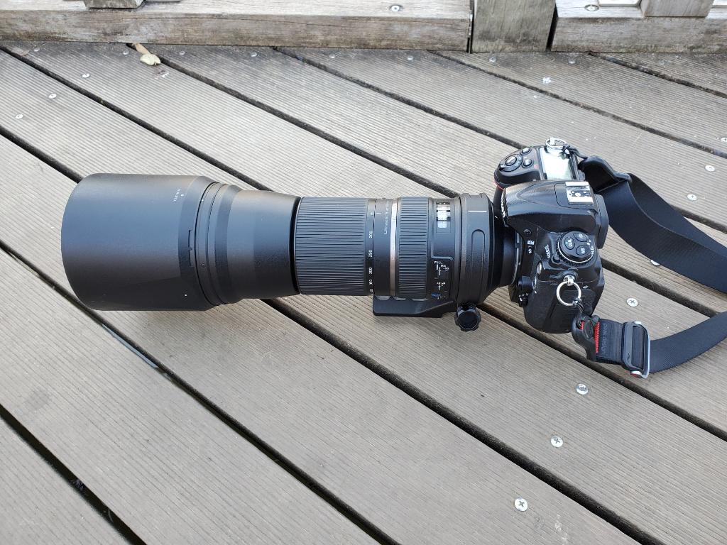 野鳥撮影にコスパ最強の超望遠レンズTAMRON150-600mmF/5-6.3(Model