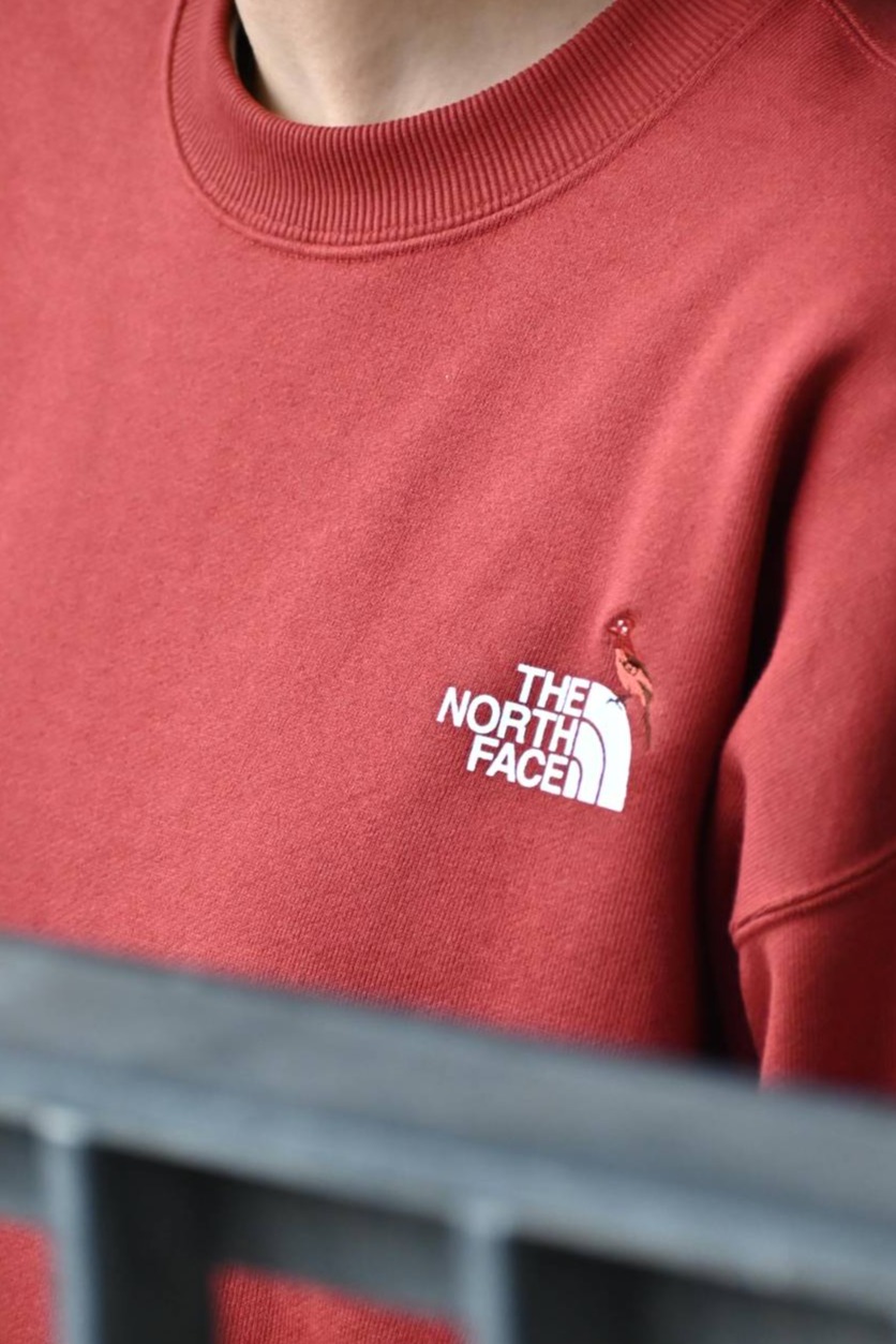 THE NORTH FACE🏕【トレーナー】 │ザ・ノース・フェイス プラス