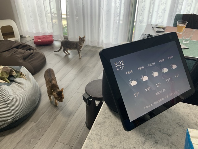 新型Amazon Echo Show 10レビュー] 回転範囲は広め、カウンター