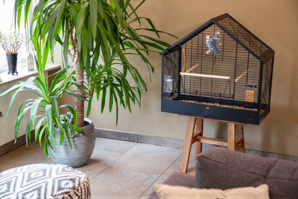 鳥用 鳥かご オランダBEEZTEES バードケージ Yara ホワイト オリジナル