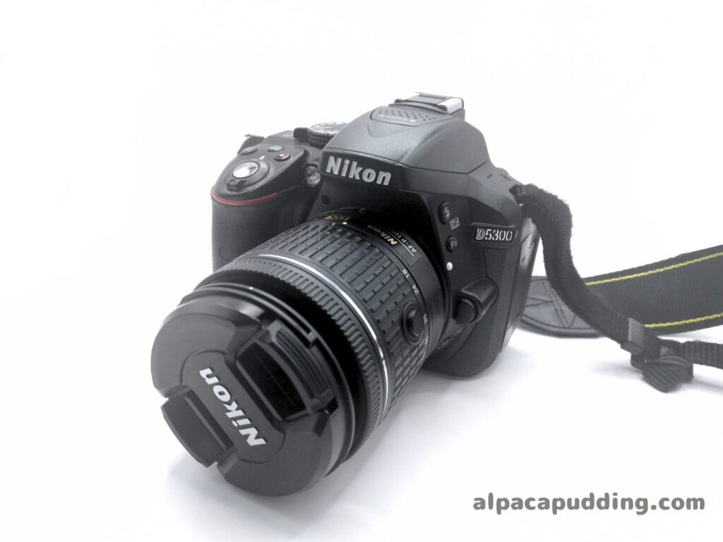 初心者カメラキット】ニコンのD5300をレンタルしてみた！【スマホ転送