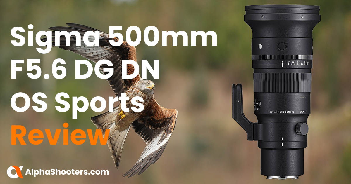 Sigma 500mm F5.6 DG DN OS Sports Review for Sony Wildlife Shooters