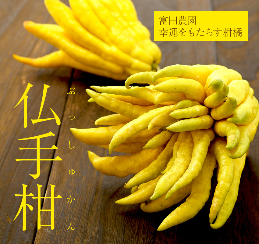 富田農園（ゲンコウ・仏手柑） | 仏手柑 | 安心堂