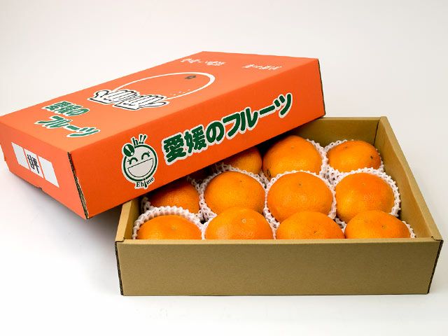 富田農園・生ベルガモット果実（1kg） | 安心堂 食のSELECTネットショップ