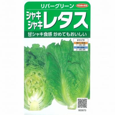レタス】リバーグリーン〔サカタ〕《登録品種》品種名フュージョン海外