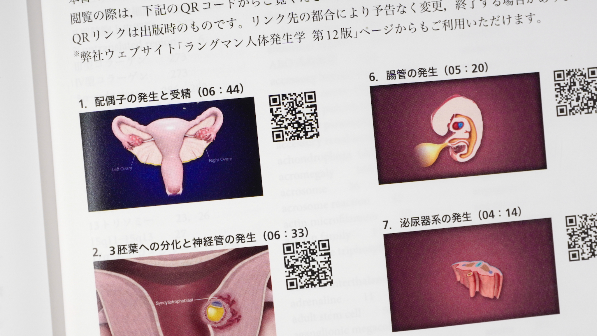 ラングマン人体発生学 第12版（原著第15版） / Anatomy 今日も明日も