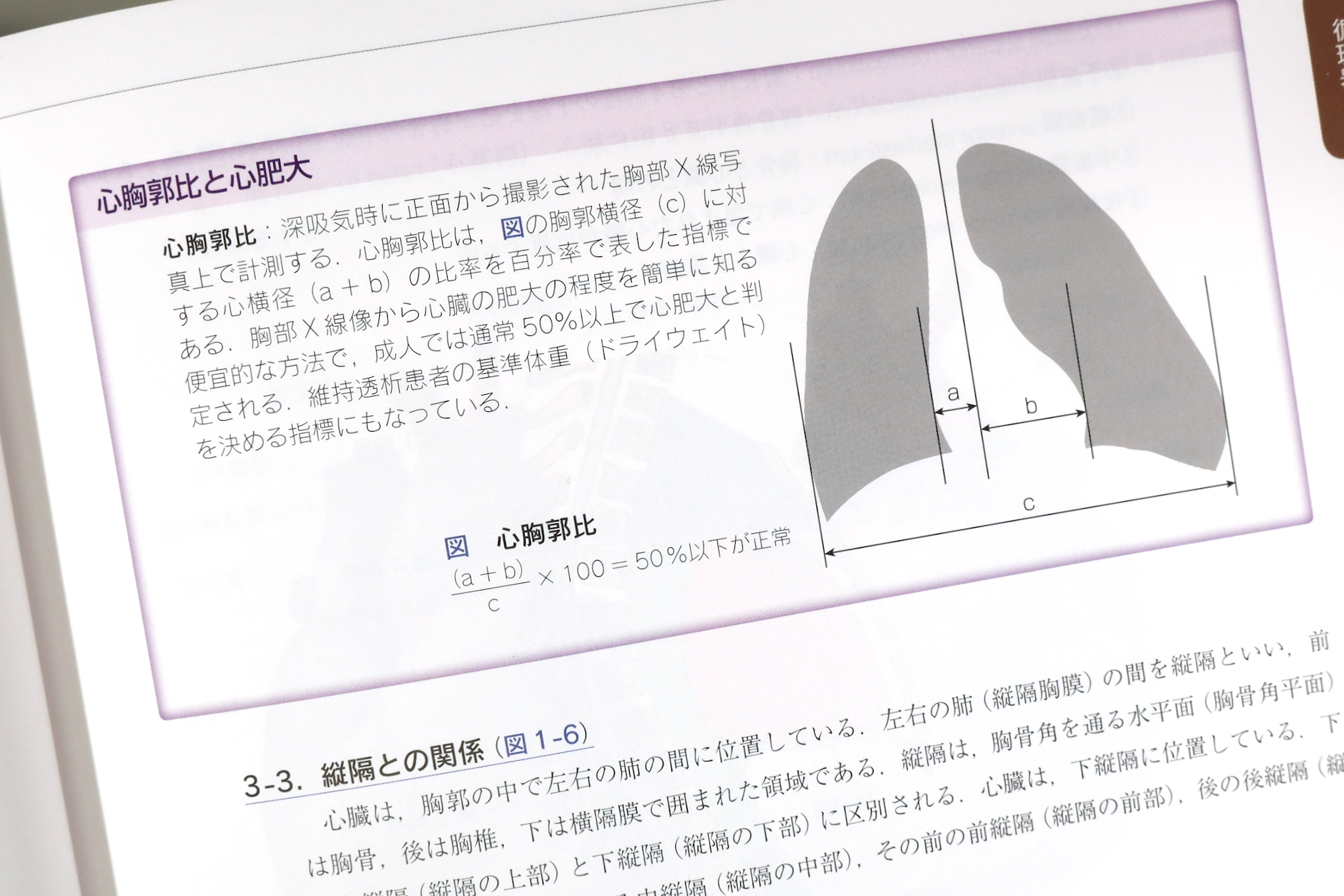 日本人体解剖学 改訂20版 / Anatomy 今日も明日も/日本人体解剖学 改訂20版