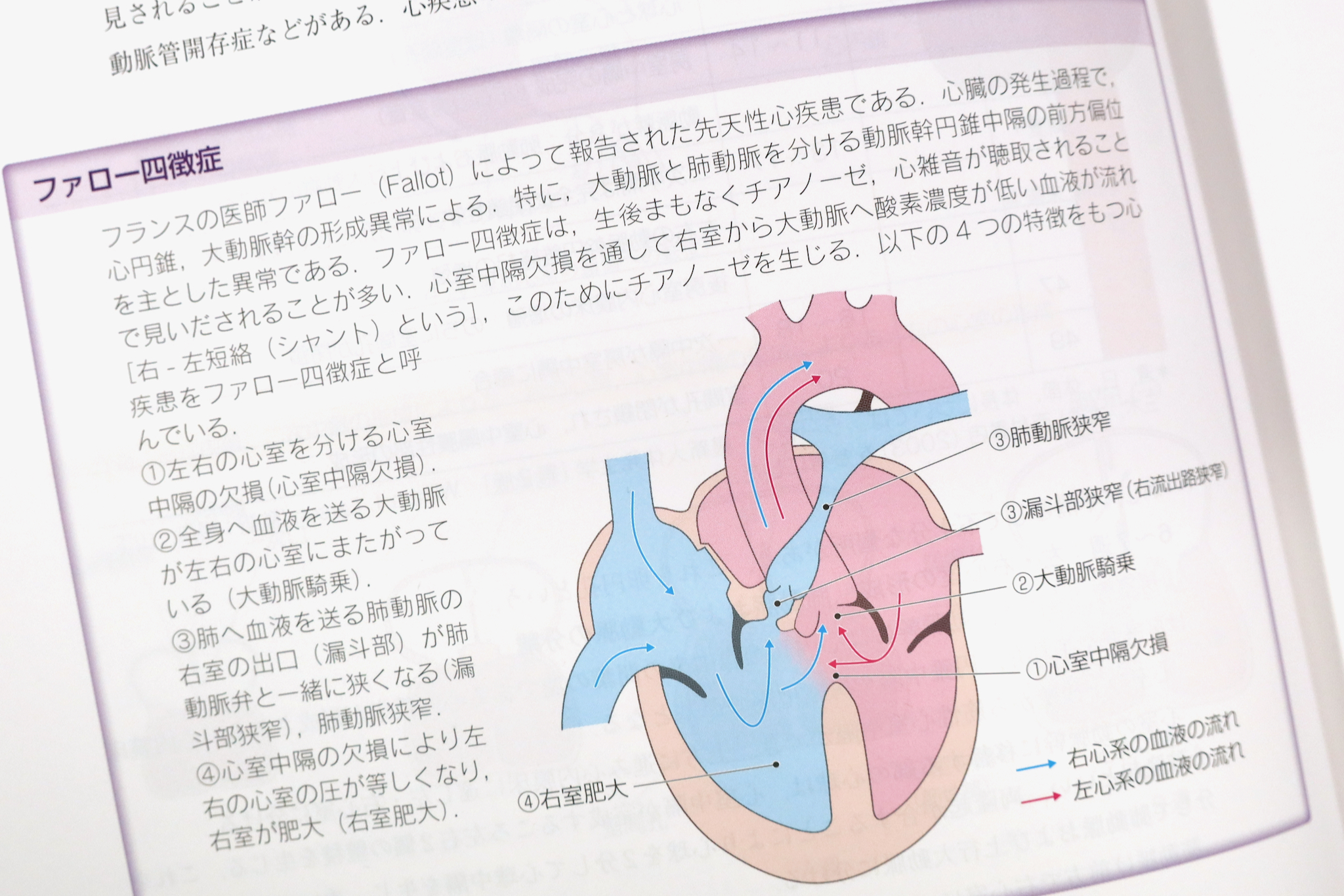 日本人体解剖学 改訂20版 / Anatomy 今日も明日も/日本人体解剖学 改訂20版