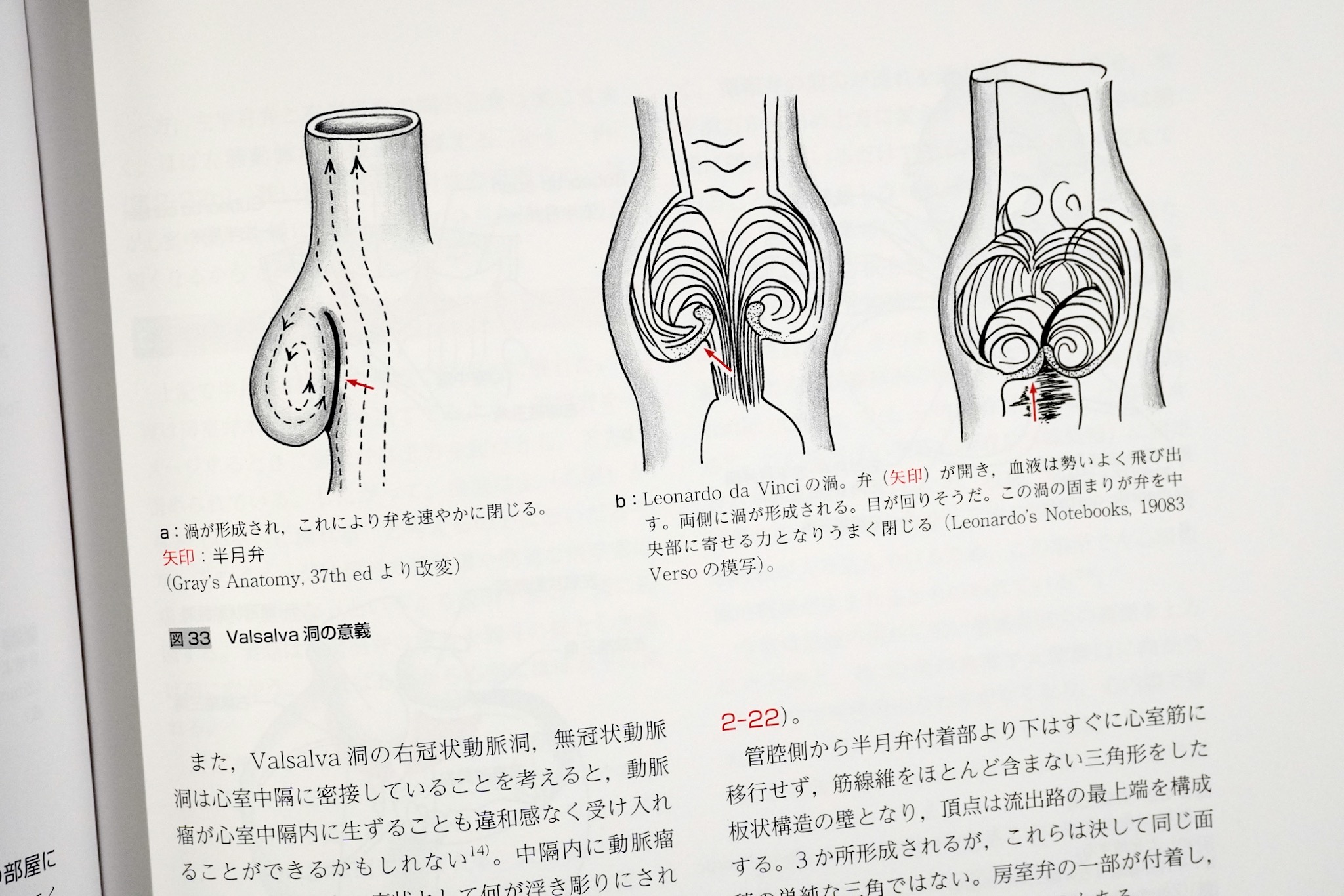 外科医のための局所解剖学序説 第2版 / イラストレイテッド外科手術 第