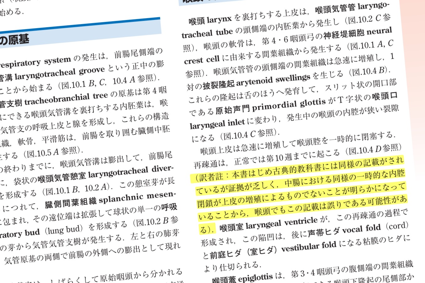 ムーア人体発生学 原著第11版 / Anatomy 今日も明日も/ムーア人体発生