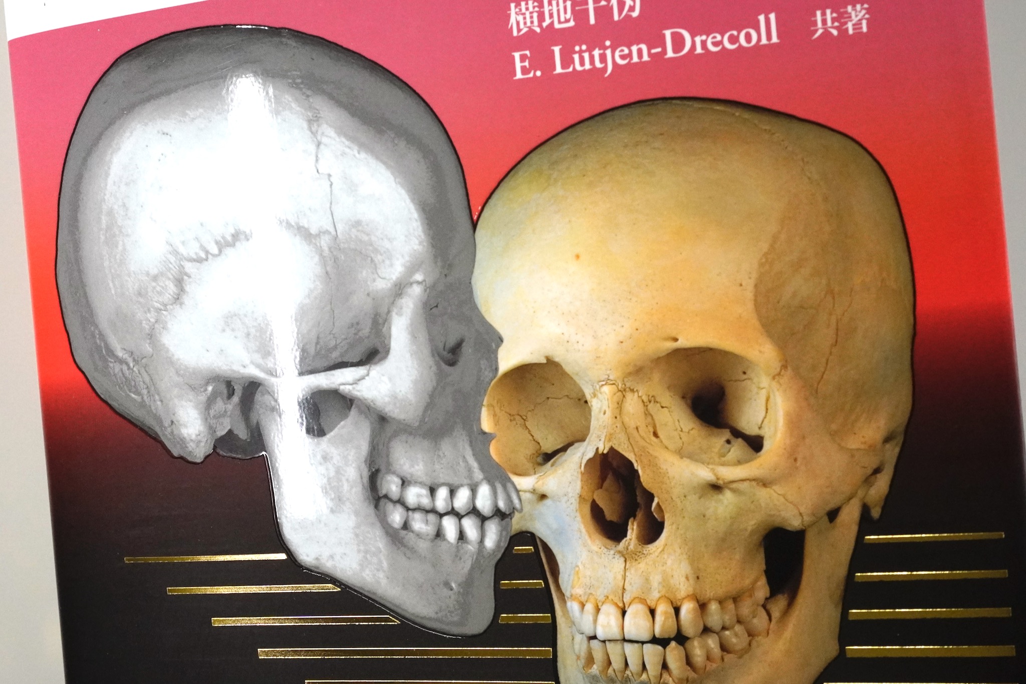 解剖学カラーアトラス 第9版 / Anatomy 今日も明日も/解剖学カラー