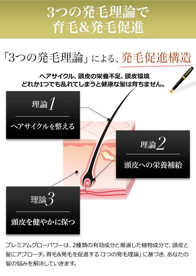 アンドジーノ 【&GINO公式】プレミアムグローパワー