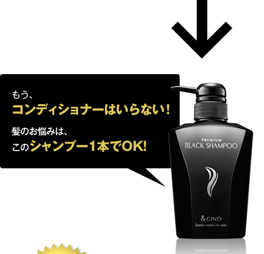 公式】 プレミアムブラックシャンプー