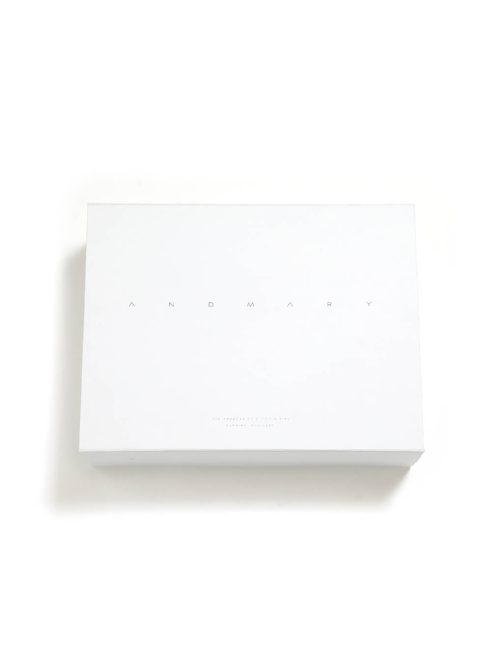 ANDMARY】Valentine ribbon leather bag