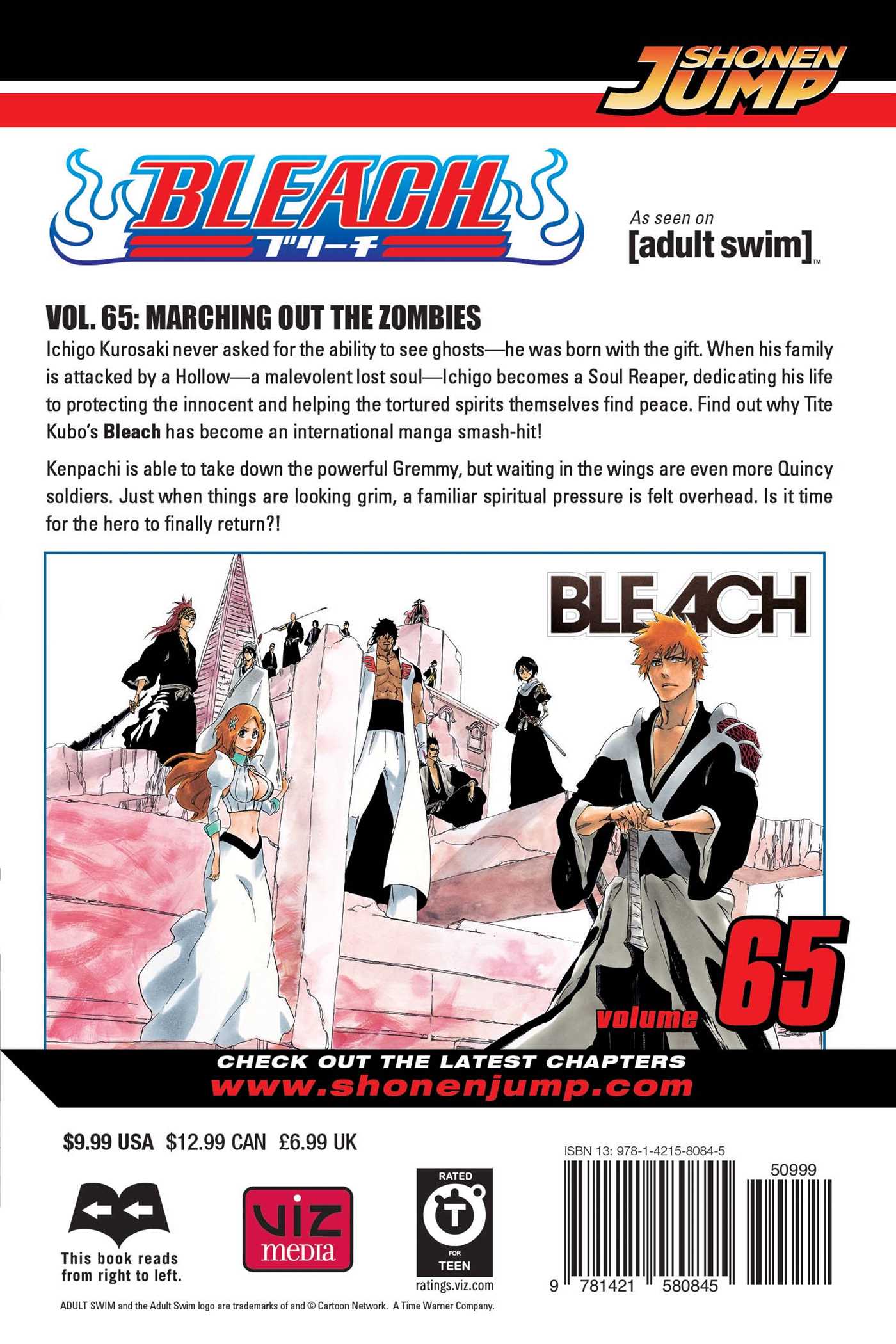 Bleach, Vol. 65 – Aniime Shop General