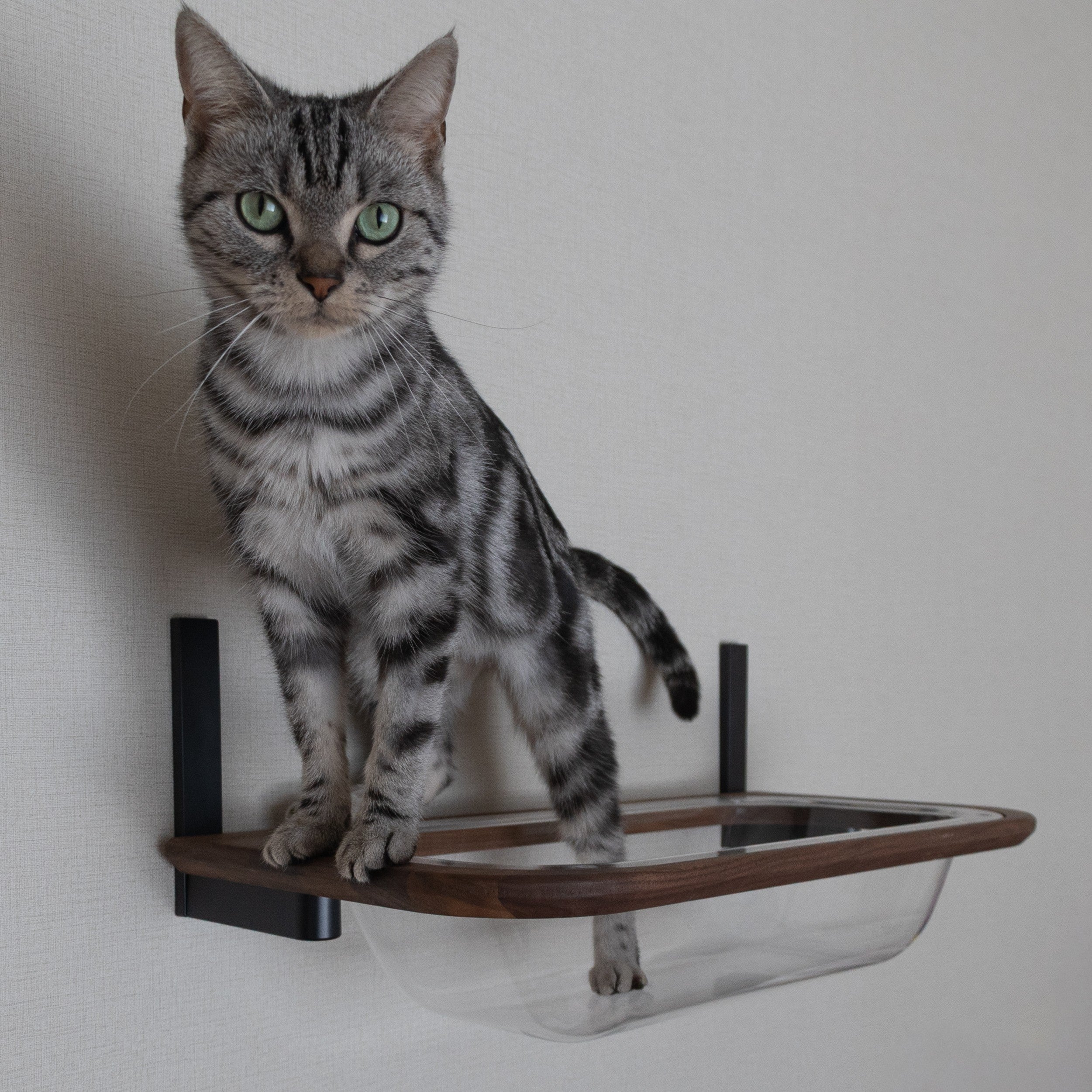 キャットステップ／キャットウォーク | 日本製猫用品、グッズの専門