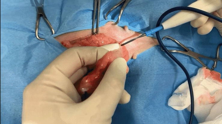 Dr.藤田の失敗しない手術原則 | 株式会社 医療情報研究所