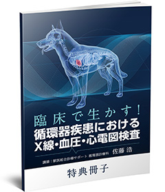 臨床で生かす！循環器疾患におけるX線・血圧・心電図検査 | 株式会社