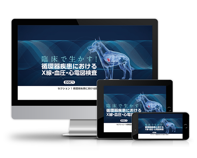 臨床で生かす！循環器疾患におけるX線・血圧・心電図検査 | 株式会社