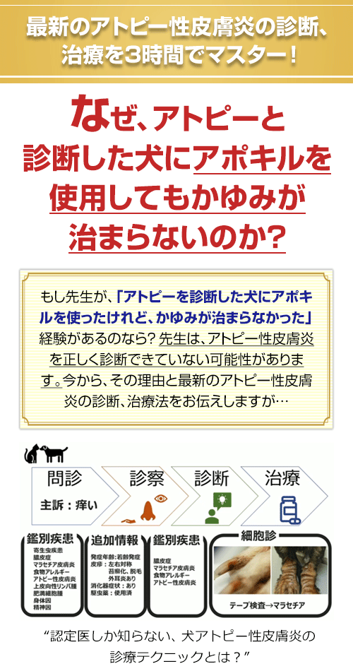 犬のアトピー”一次診療 完全診断プログラム 1/3000 | 株式会社 医療