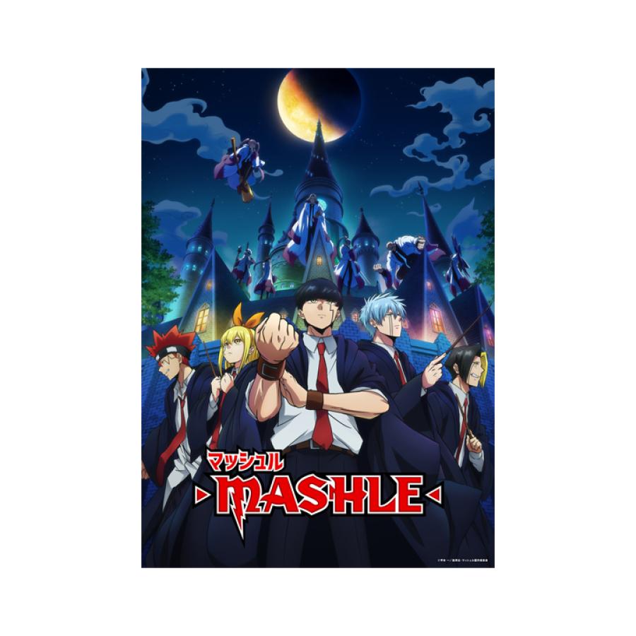 マッシュル-MASHLE- Vol.3／DVD（完全生産限定版） | TBS・MBSアニメ