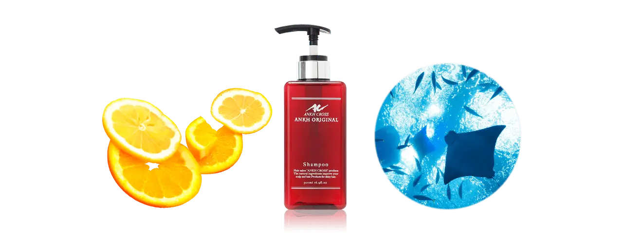 ジェネシス（シトラスとマリンブルーオーシャンの香りが持続するサロン