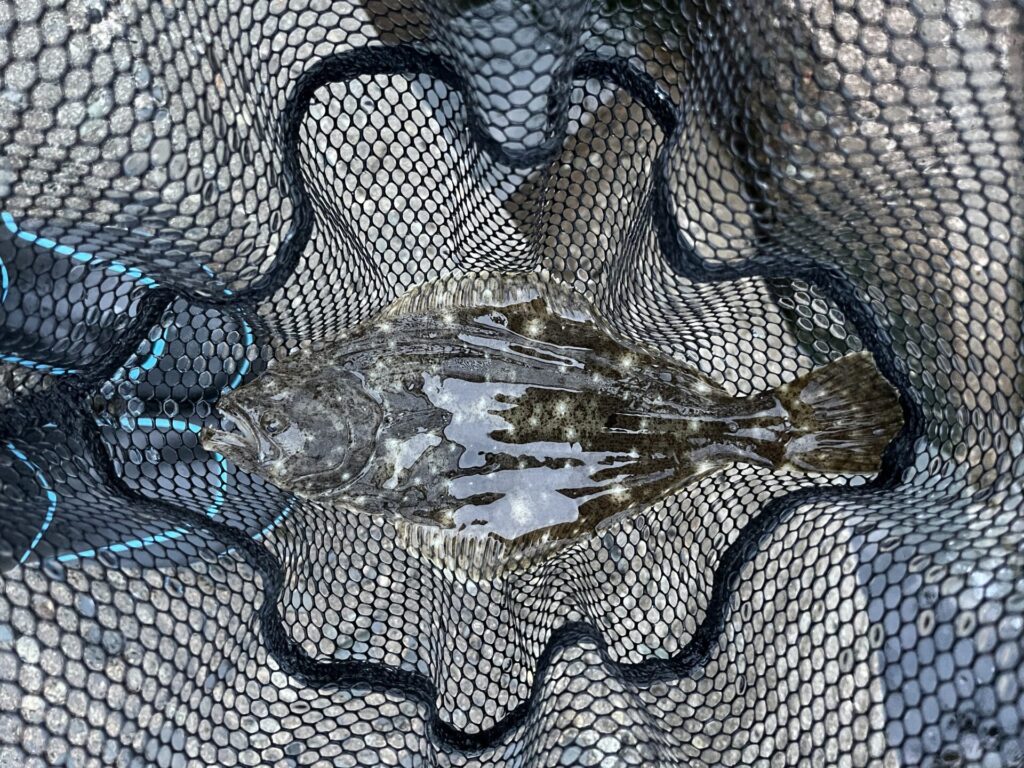 レガーメ牙突（ガトツ） XAG-6718の使用感やインプレ | 遊びを深掘りブログ