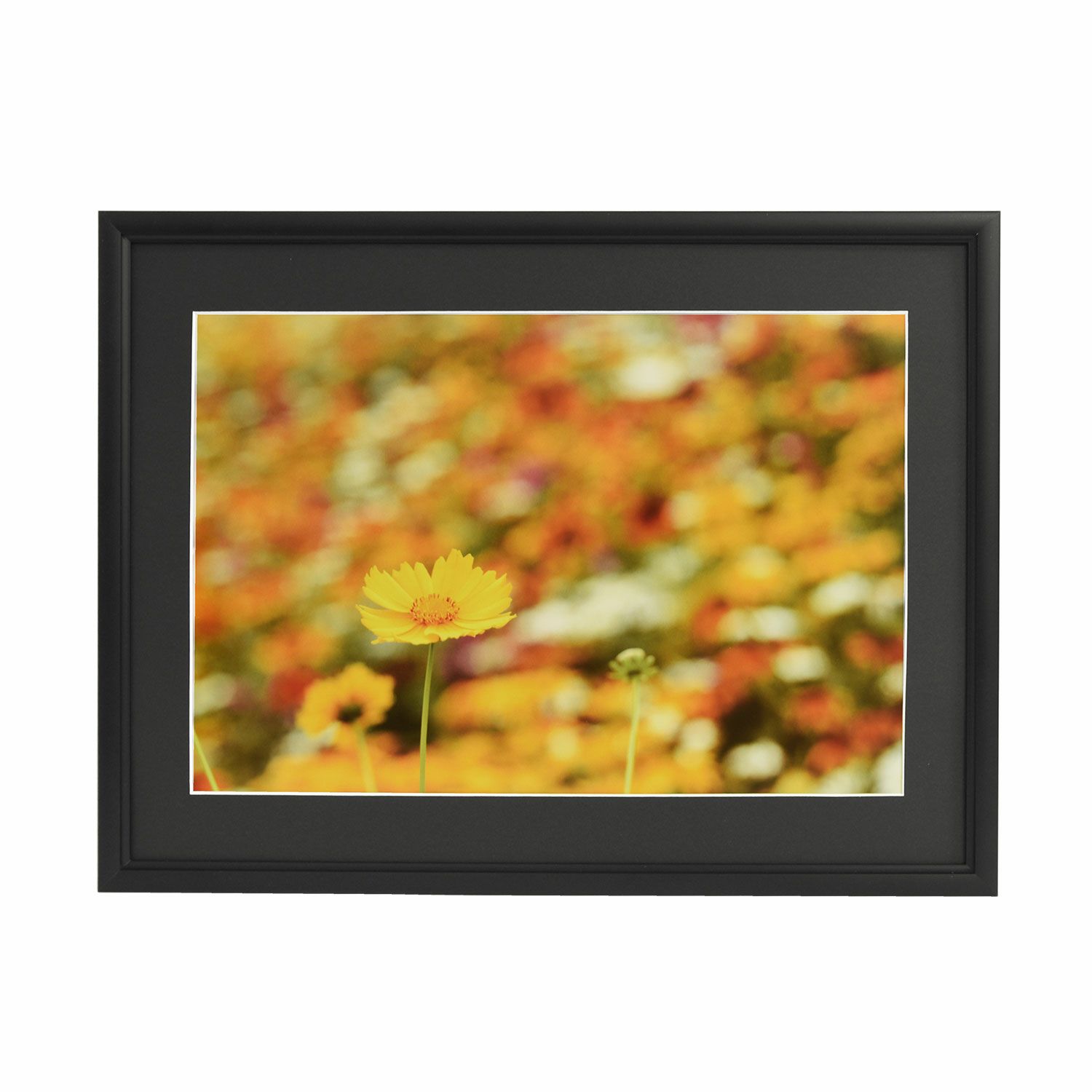 PSBWB様 ご確認用 額縁 PSBWB様 ご確認用 額縁 PSBWB様 ご確認用 額縁