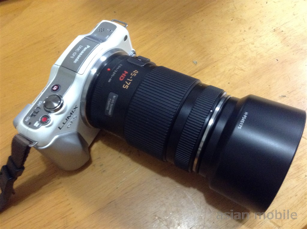 Panasonic LUMIX G 45-175mm/F4.0-5.6 H-PS45175 | アジア旅行と