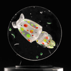 カプセルフィギュア「ミクロコスモス～プランクトン大全～」発売