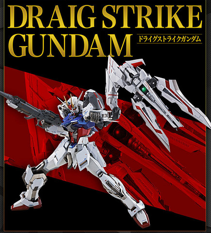 METAL BUILD∞ -メタルビルドインフィニティ-」開催記念商品「METAL