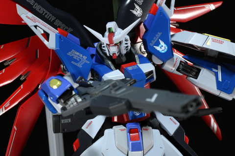 レビュー】「METAL ROBOT魂 ＜SIDE MS＞ デスティニーガンダムSpecII