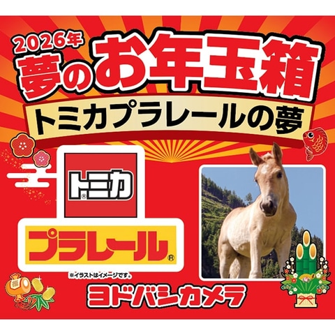 ヨドバシ・ドット・コムにて「2026年 夢のお年玉箱」の追加抽選販売