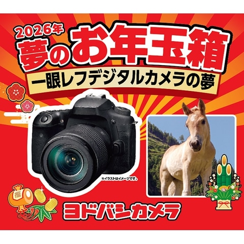 ヨドバシ・ドット・コムにて「2026年 夢のお年玉箱」の追加抽選販売