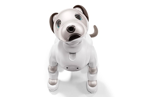 ソニーの「aibo」がLTE対応で復活、オーナーの感情を学習するように