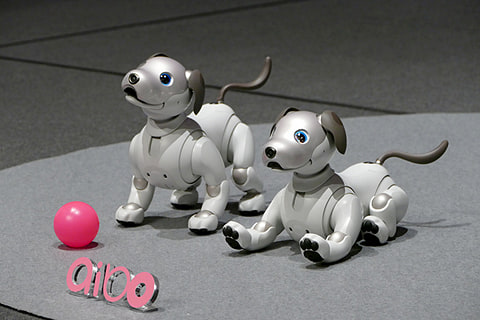 森山和道の「ヒトと機械の境界面」】新生「aibo」について、開発者たち