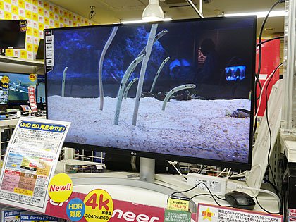LGの31.5型4K液晶「32UN550-W」が入荷、価格は税込49,320円 - AKIBA PC