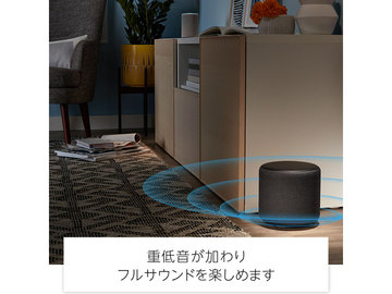 Amazon Echoシリーズと無線接続できるサブウーファ「Echo Sub」 - AV Watch