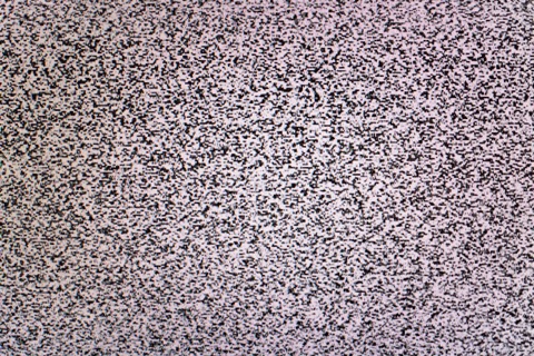 展覧会「ヴォルフガング・ティルマンス Your Body is Yours